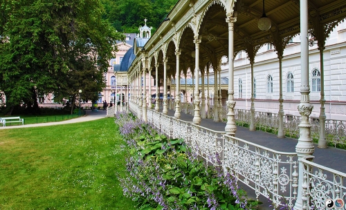 Karlovy Vary (19)