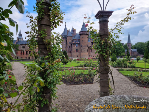 RARES KASTEL DE HAAR (4) (1)