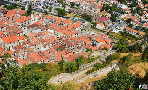 Kotor (14)