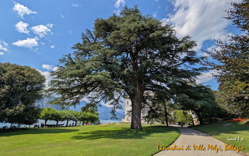 Bellagio-14