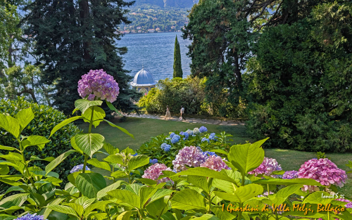 Bellagio-16