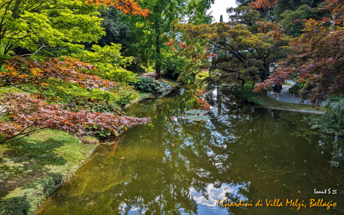 Bellagio-20