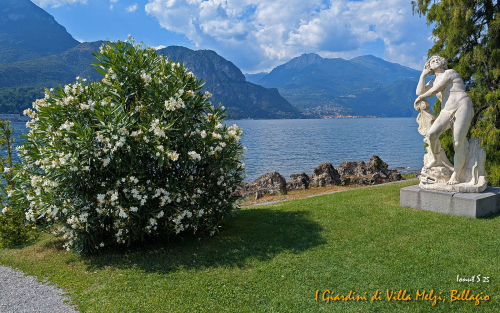 Bellagio-9