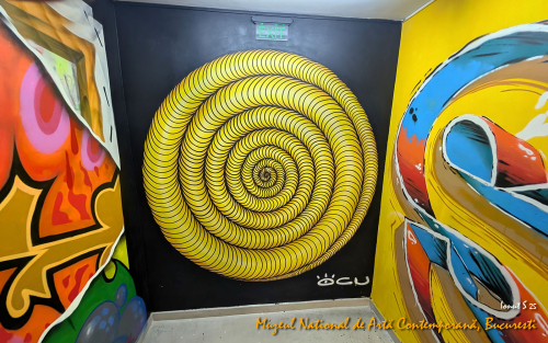 PXL 20250502 112223844