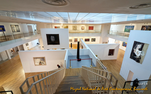 PXL 20250502 113244100