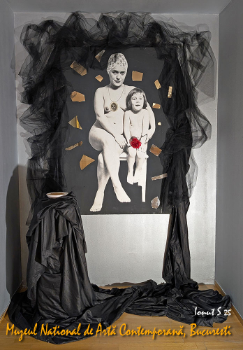 PXL 20250502 113351731.MP 