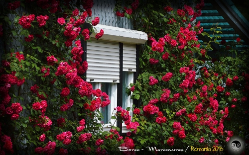 Maramures (22)