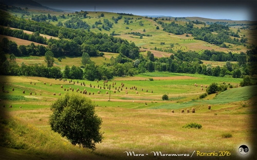 Maramures (27)