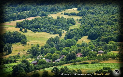 Maramures (28)