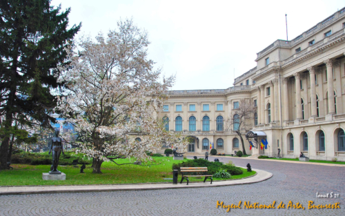 01Bucuresti-2012 0774 (1)