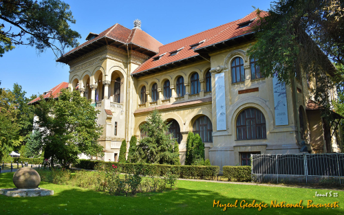 Muzeul Geologic Național