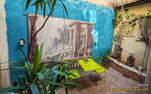 PXL 20240709 125310945