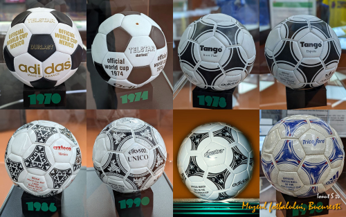 PXL 20240709 133341905.PORTRAIT