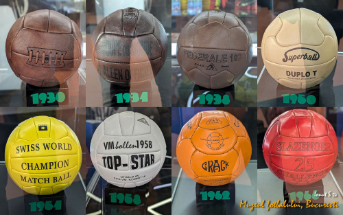 PXL 20240709 133456332.PORTRAIT