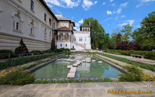 PXL 20250502 072231987.MP 