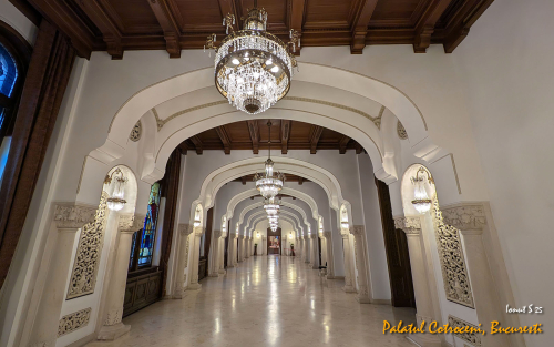 PXL 20250502 073416021