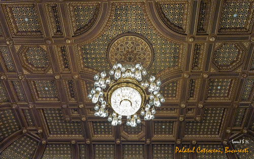 PXL 20250502 073626499