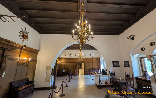 PXL 20250502 073951862.MP 