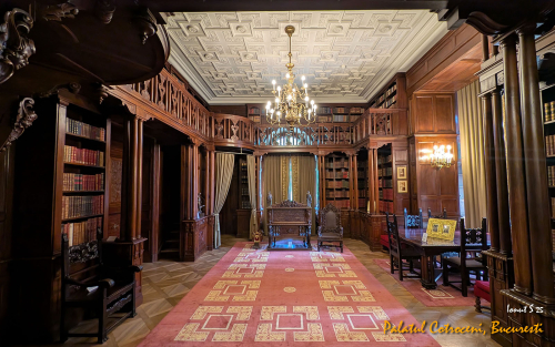 PXL 20250502 074229698.MP 