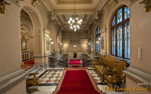 PXL 20250502 074350659.MP 