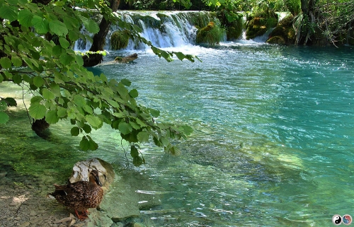 Plitvice (7)