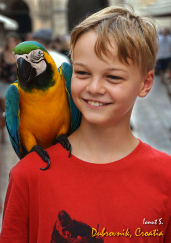 CROATIA, DUBROVNIK (3)