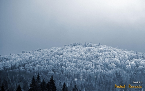 WhatsApp-Image-2022-02-18-at-10.37.20-1