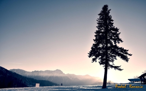 WhatsApp-Image-2022-02-18-at-10.37.20-3