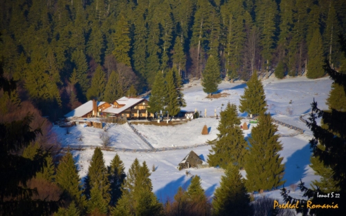 WhatsApp-Image-2022-02-18-at-10.37.20-4