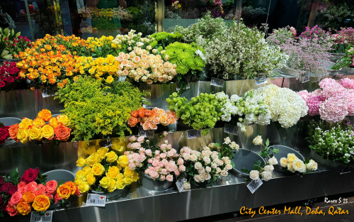 City-Center-Mall-Doha-2