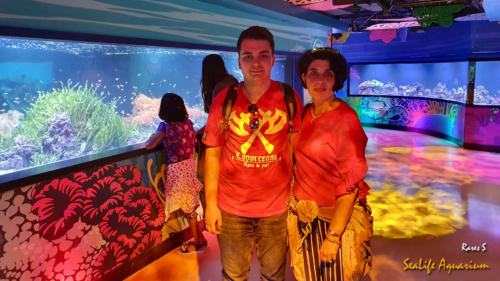 s20190709 125409 (1)