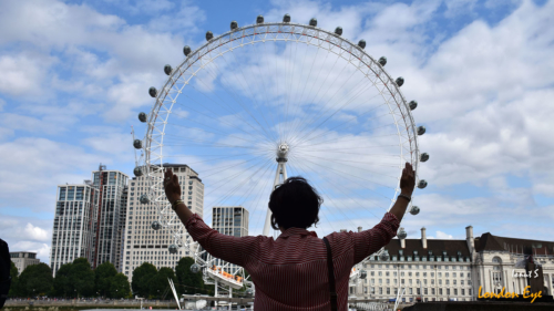 London Eye, Sea Life Aquarium, London Dungeon