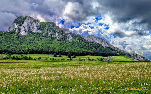 PXL 20250506 093123162