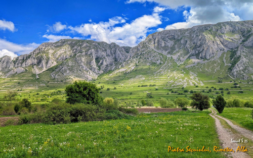 PXL 20250506 094258739.MP2 