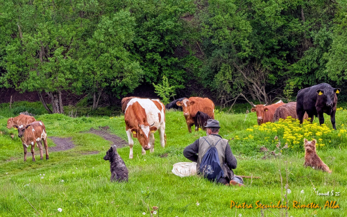 PXL 20250506 1454184502