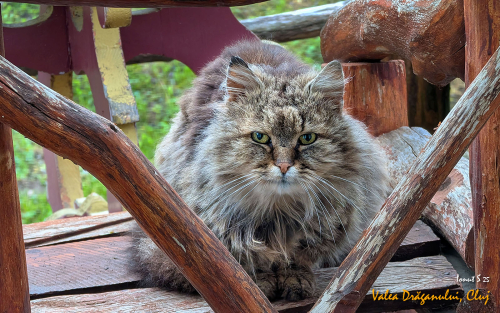 PXL 20250508 051957873