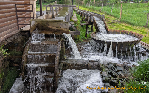 PXL 20250508 065805994