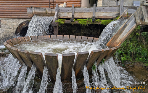 PXL 20250508 065936610