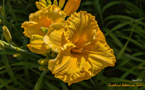 PXL 20250626 151308987