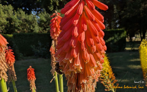 PXL 20250626 151927498