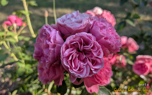 PXL 20250626 152035909