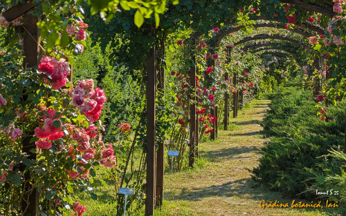 PXL 20250626 152151282