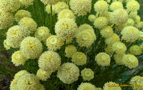 PXL 20250626 152420628