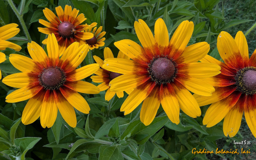 PXL 20250626 152448799