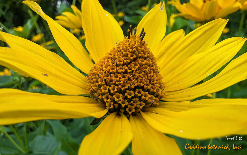 PXL 20250626 152559817