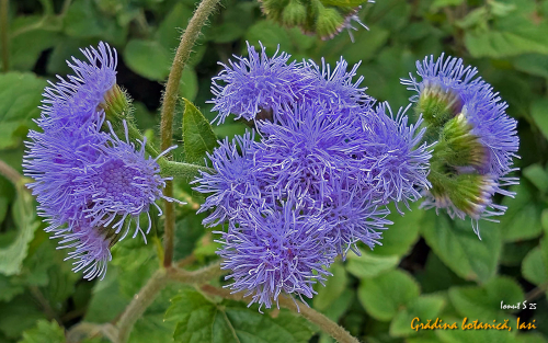 PXL 20250626 152706437