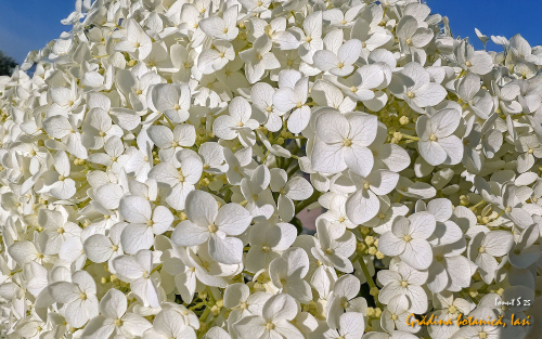 PXL 20250626 152835768