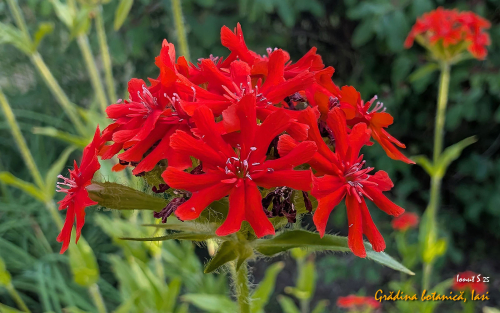 PXL 20250626 153005895