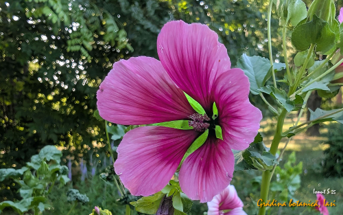 PXL 20250626 153150066