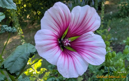 PXL 20250626 153157964